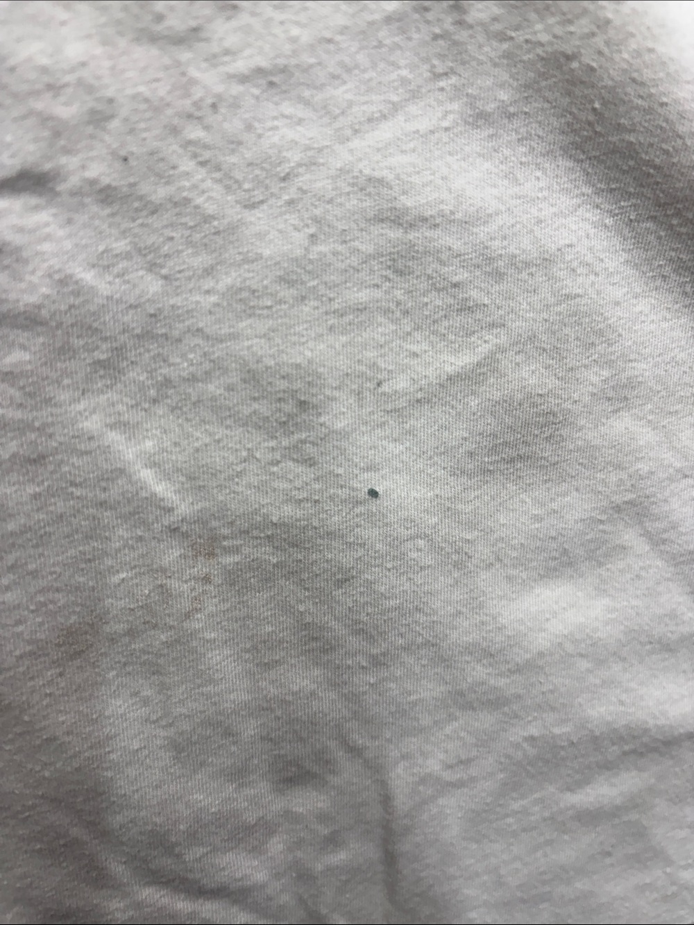 Polo by Ralph Lauren White Polo Bear on Short Sleeve Tee - Picture 7 of 12